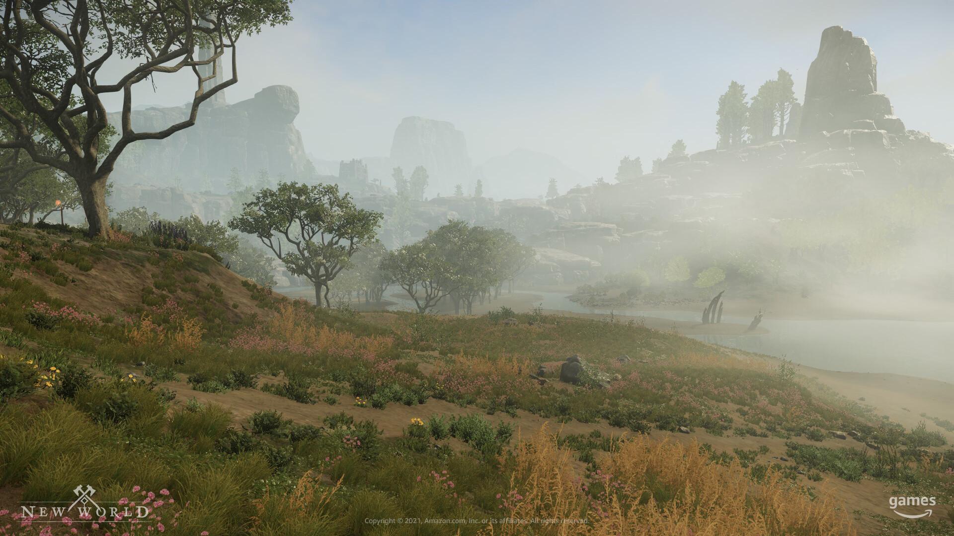 New World Guide